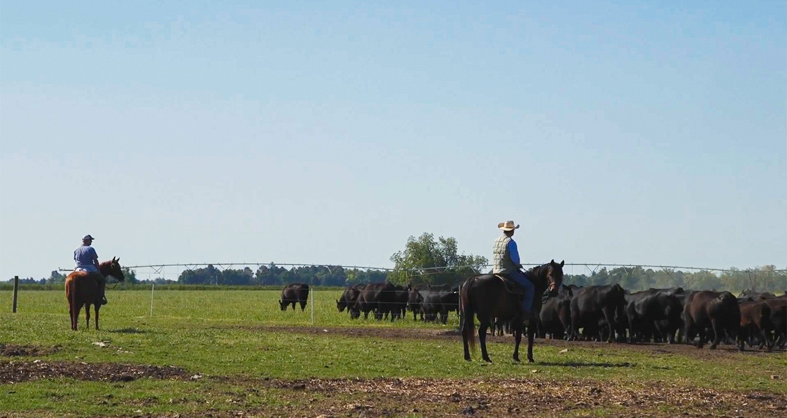 CAB rancher in a field