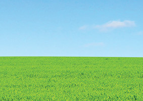 Recipes for Outdoor Play